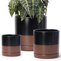 D'vine Dev 6 Inch & 8 Inch & 10 Inch, Set of 3 Round Ceramic Planter Pot with Drainage Hole and Saucer, Black/Speckled Tan, 94-T-L-7 by DvineDevPlanterPotsandStand