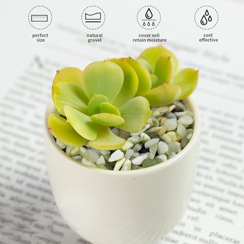 FANTIAN 10 lbs Pebbles for Landscaping,1/4 Inch Polished Green Pea Gravel Small Rocks for Plants, Succulents, Cactus, Vases, Terrarium and Outdoor Gardening - Image 4
