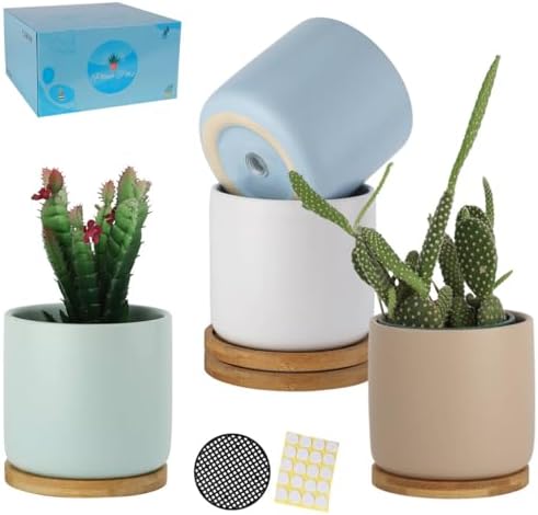4 Inch Ceramic Plant Pots with Drainage Hole and Saucer, Small Modern Flower Pots with Trays for Succulent, Cactus and Herbs, Morandi Colors, Set of 4 by TAMAYKIM
