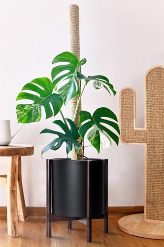 D'vine Dev Plastic Pot with Walnut Wood Stand, Black, 12 in, 55-C-O-2 - Image 3