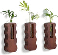 Glasseam Wall Hanging Propagation Station, Set of 3 Wood Glass Tube Planter by Glasseam