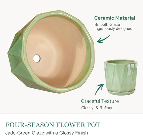 7.8 Inch Ceramic Plant Pot with Drainage Hole Mesh Net, Large Flower Pots for Indoor Plants with Saucer, Gardening Pots Outdoor (Crackle-Green) - Image 3