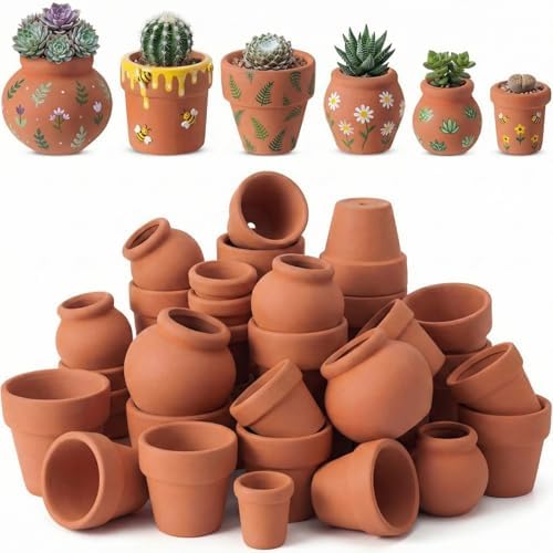 Maxdot 36 Pcs Small Terracotta Pot Tiny Clay Pots Bulk, 1.34 Inch, 6 Style by Maxdot