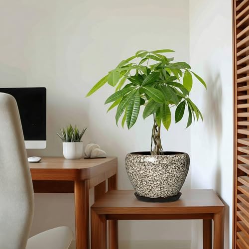 Ceramic Plant Pots, 8 Inch Planters Indoor, White Leopard - Image 5