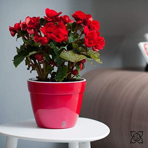 Gardenera 11.8" ASTI Self Watering Planter in RED-Pearl/White - Modern Flower Pot with Water Level Indicator for All House Plants, Flowers, Herbs, Succulents and Hanging Plants - Image 6