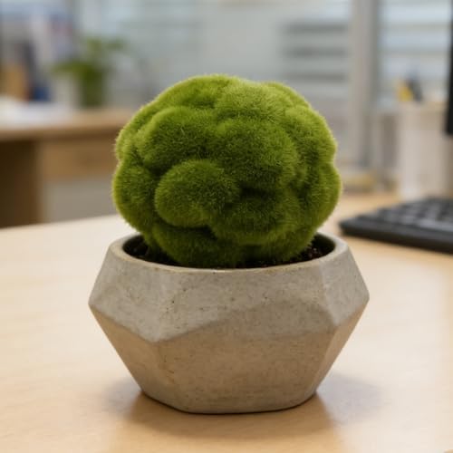 6 PCS Green Moss Ball Decorations, Simulated Moss Balls, Artificial Plant Decorations, Suitable for Garden Wedding Party Decorations - Image 4