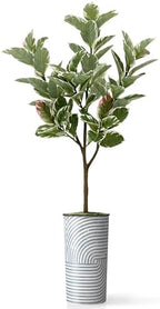 Artificial Tree in Modern Geometric Pattern Planter, Fake Rubber Silk Tree for Indoor and Outdoor Home Decoration - 70" Overall Tall (Plant Pot Plus Tree) - Image 2
