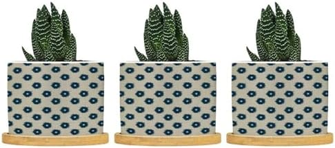 Timur in Blue Background Planters Ceramic Geometric Modern Round Plant Pot with Drainage Holes and Bamboo Tray Pot for Home Desktop Office Windowsill by BRUYU5SE