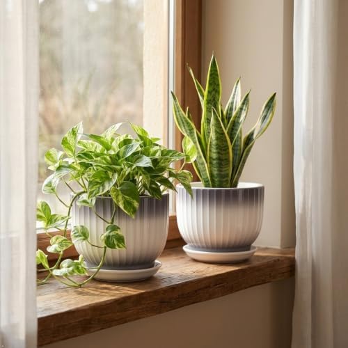 Ceramic Plant Pots, 6.7 Inch, Gray+White, Set of 2 - Image 6