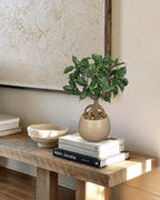 Artificial Bonsai Tree Fake Small Ficus Plant with Ceramic Pot Indoor Plant - Image 4