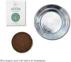 Buzzy Seeds Cactus, Moss Rose & Aloe Grow Kit 3-Pack, Mini Basin Pots - Image 5
