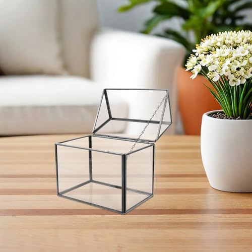 Toyvian Glass Geometric Terrarium Planter House Shape Indoor Greenhouse Tabletop Display Box with Black Frame for Succulent Air Plant Home Garden Decoration - Image 4