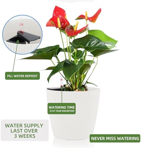 Dexceder 11x10 Self Watering Planters Indoor (2 Pack, White) - Image 5