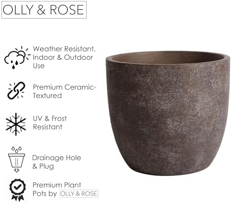 Olly & Rose large ceramic plant pots brown washed - Image 3