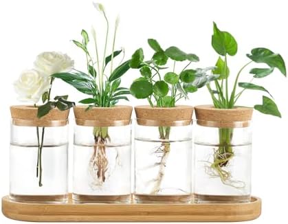 Dahey Macrame Plant Hanger Indoor and 4 Pcs Plant Propagation Stations for Indoor Plants Centerpiece Tabletop Home Office Garden Decor - Image 5
