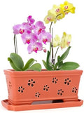 Rectangle Ceramic Orchid Pot 10In Orchid Pots with Holes for Premium Ceramic Orchid Planter for Indoor and Outdoor Use Drainage & Air Circulation Red Orchid Planter for Repotting or New Plants by EXQUAILTY