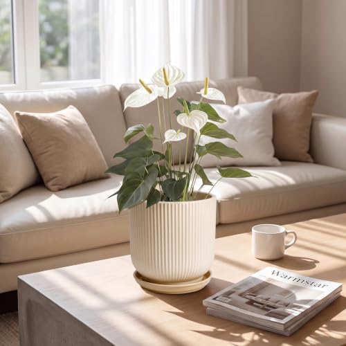 Deep Dream 6 Inch Ceramic Pots for Plants, Heavy Plant Pot for Indoor Outdoor Plants, Large Plant Pot with Drainage Hole and Saucer, Modern Tall Flower Pot, Gifts for Plant Lovers, Cream - Image 4