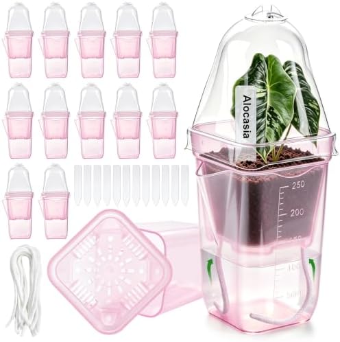12 Pcs Self Watering Pots with Humidity Dome for Indoor Plants - Small Clear Propagation Cups, Plastic Tissue Culture Acclimation Kit for African Violet, Succulent, Alocasia, Hoya（Pink） by SHARELIFEENJOYLIFE