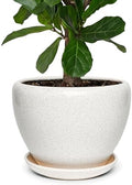 11 Inch Ceramic Plant Pot with Drainage Hole Mesh Net, Large Gardening Pots for Indoor Plants with Saucer, Waxen White by Unknown