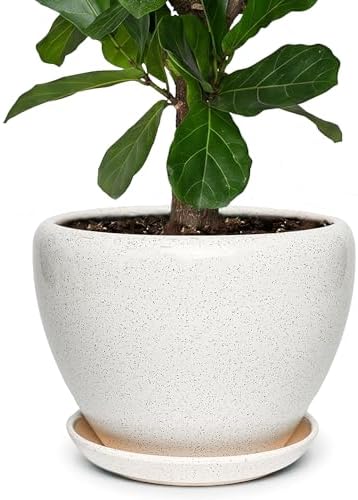 11 Inch Ceramic Plant Pot with Drainage Hole Mesh Net, Large Gardening Pots for Indoor Plants with Saucer, Waxen White by Unknown