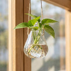 Kisangel 4pcs Hanging Glass Planter- Clear Flower Vase - Hanging Terrarium Globe DIY Air Succulent Planter for Windowsill Outdoor Garden Decor - Image 5