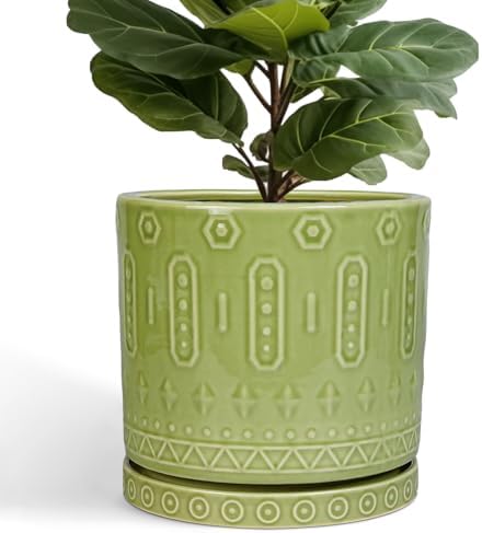 Eightpot Ceramic Planter - 12 Inch Pots for Plants Indoor Outdoor, Round Large Flower Pots with Drainage Hole and Saucer, Decorative Boho Planter, Home Office Decor, Plant Lover Gifts, Green by Eightpot