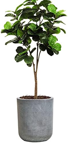Round Concrete Planter Pot, Large Cement Planter Containers with Drainage Hole for Indoor Plants & Outdoor,12.3" H, Slate Gray by SANDYBAYTAS