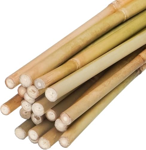 Natural Bamboo Plant Stake（Approx 5FT 50Pcs） Sturdy Bamboo Poles, Durable Plant Bamboo Stake, Garden Climbing Plant Bracket. by Groovboo