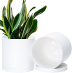 D'vine Dev 2-Pack White Plastic Planters with Saucers, 6.5 in, 74-Z-L-1 by DvineDevPlanterPotsandStand