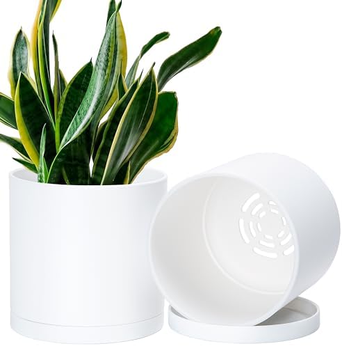 D'vine Dev 2-Pack White Plastic Planters with Saucers, 6.5 in, 74-Z-L-1 by DvineDevPlanterPotsandStand