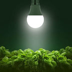 Briignite Grow Light Bulbs, Full Spectrum Grow Light Bulb, LED Grow Light - Image 2