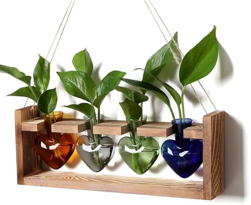 Plant Propagation Stations Heart Plant Terrarium Kit by CYZglass
