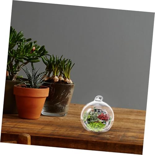 Xmas 12pcs Glass Globe Hanging Terrarium for Plants, Household Decor - Image 4