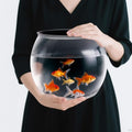 Geelin 1.5 Gallon Plastic Fishbowl Round Large Clear Shatterproof Tank by Geelin