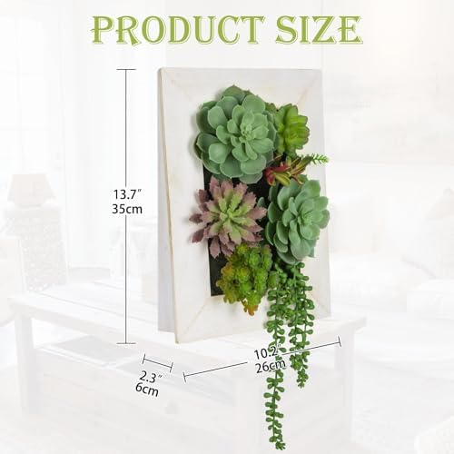 Wall Artificial Succulent Hanging Decor Plants Fake Succulents String of Pearls Arrangement with Wooden White Frames Faux Plants Hanging Boho Decor for Livingroom Bedroom Home Decor 10.2"x 2.3"x 13.7" - Image 4