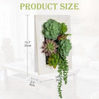 Wall Artificial Succulent Hanging Decor Plants Fake Succulents String of Pearls Arrangement with Wooden White Frames Faux Plants Hanging Boho Decor for Livingroom Bedroom Home Decor 10.2"x 2.3"x 13.7" - Image 4