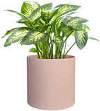 FaithLand 10 Inch Fiberstone Planter - Lightweight Modern Cylinder Plant Pot with Drainage Hole & Plug, Indoor Outdoor Use, Terracotta Color - Image 4