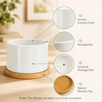 ZOUTOG 12 Pack 3.1" Ceramic Succulent Pots,White Planter with Drainage Tray - Image 3