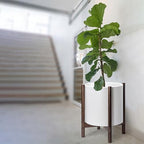 D'vine Dev Plastic Pot with Walnut Wood Stand, White, 16 in, 55-C-X-1 - Image 6