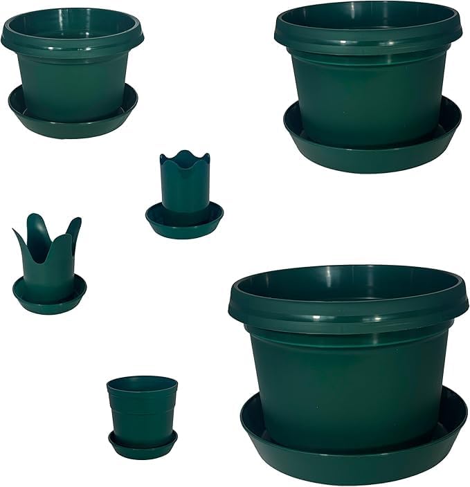 12-Piece Plant Pot & Saucer Set, Green by AustinPlanter