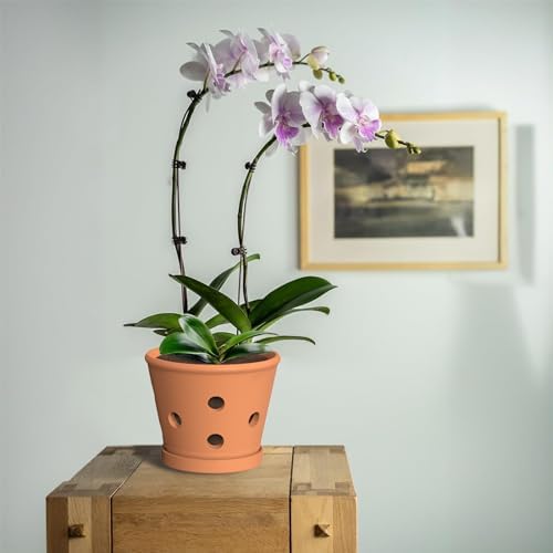 Terracotta Orchid Pots, 6 Inch Orchid Pot with Holes and Saucers 3 Pcs, Clay Orchid Planter Pots for Repotting, Terra Cotta Pot Large Bulk Flower Pot for Indoor Outdoor Promotes Air Circulation - Image 3