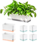 LaLaGreen Indoor Planter Boxes for Plant (7 Pack) Window Flower Box Planter by L%C3%A1L%C3%A1Green
