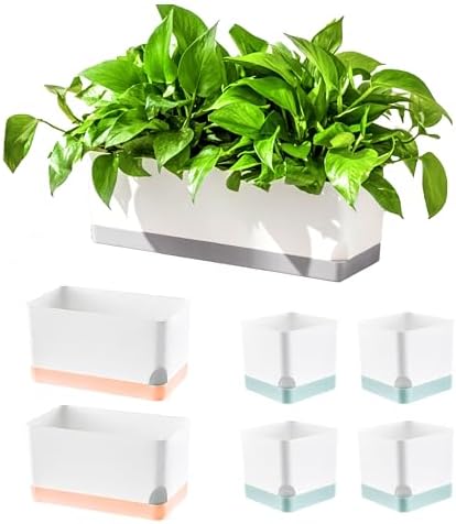 LaLaGreen Indoor Planter Boxes for Plant (7 Pack) Window Flower Box Planter by L%C3%A1L%C3%A1Green