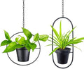 Modern Metal Hanging Planters Set of 2 - Round and Oval Geometric Plant Hangers with 5 Inch Pots - Black Wall and Ceiling Mount Flower Holders for Indoor and Covered Outdoor Décor by HemePaha