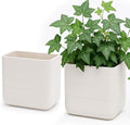 Phoenix Vine 6.5 Inch Wall Mounted Self-Watering Planter Pot for Indoor Houseplants and Herbs | Hanging Planter for Window Sills, Bathroom Walls, Home & Office Décor, Oatmeal, Set of 2, 01-C-G-2 by Phoenix+Vine