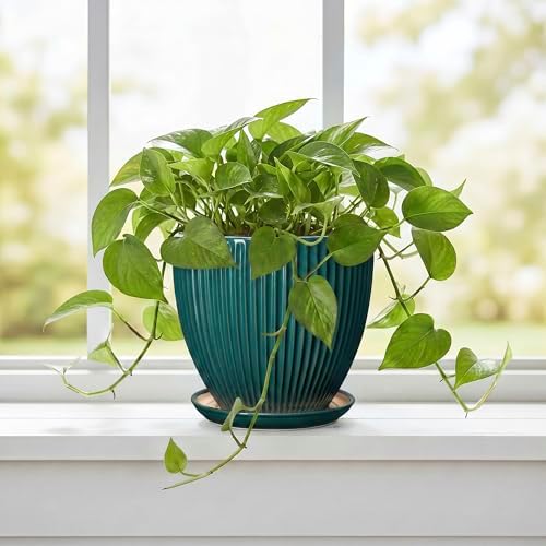 Ceramic Flower Pots, 6 Inch Planters with Saucer, Blackish Gree - Image 5