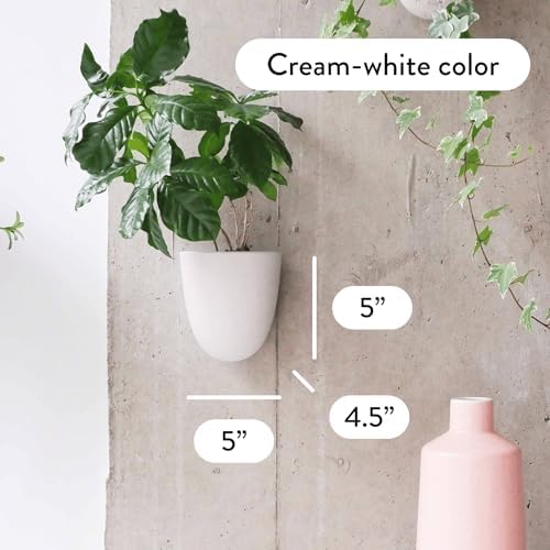 Make Good PlantPod Luxe - Self-Watering Wall Planters (Set of 6) - Easy to Water and Install - Lightweight - Design Your Own Vertical Garden - Wall Planters for Indoor Plants - Image 2