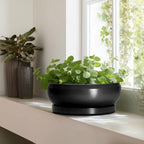 Bonsai Pots 13 Inch - Large Ceramic Succulent Pots with Drainage Hole and Tray, Round Planter Bowl Indoor Outdoor, Modern Shallow Planters, Home Living Room Decor, Gardening Gifts, Black - Image 6