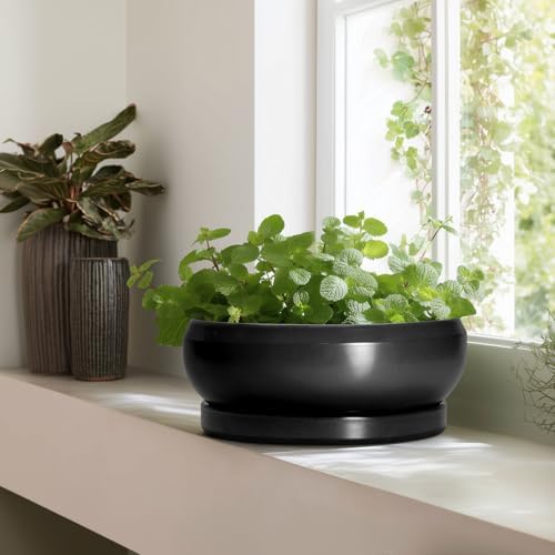 Bonsai Pots 13 Inch - Large Ceramic Succulent Pots with Drainage Hole and Tray, Round Planter Bowl Indoor Outdoor, Modern Shallow Planters, Home Living Room Decor, Gardening Gifts, Black - Image 6