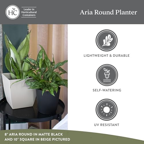 The HC Companies Aria Round Self-Watering Pot - Lightweight Plastic Planter for Herbs & More - Durable Plant Pots for Indoor Plants & Outdoor Plants (10" Warm Gray, Pack of 1) - Image 4